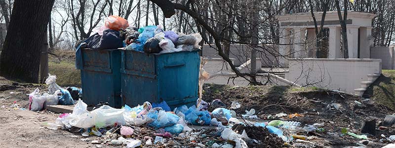 Overflowing blue bins and scattered trash highlighting the necessity of Residential Rubbish Removal services in Sydney.